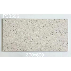 EL36203 - men matt 300*600